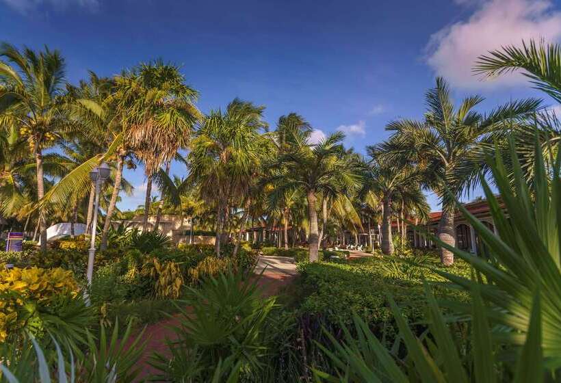 호텔 Sol Cayo Santa María