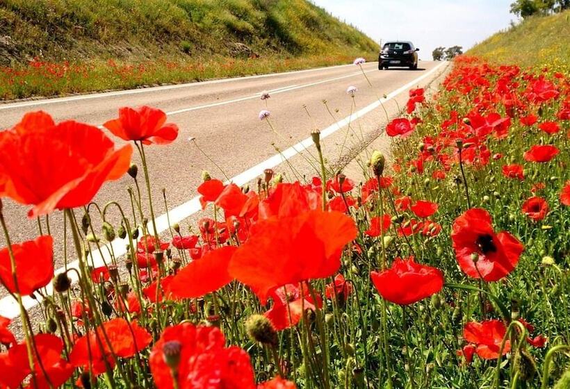 ホテル Sol E Serra