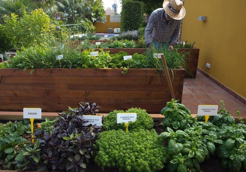 The Cookbook Gastro Boutique Hotel & Spa