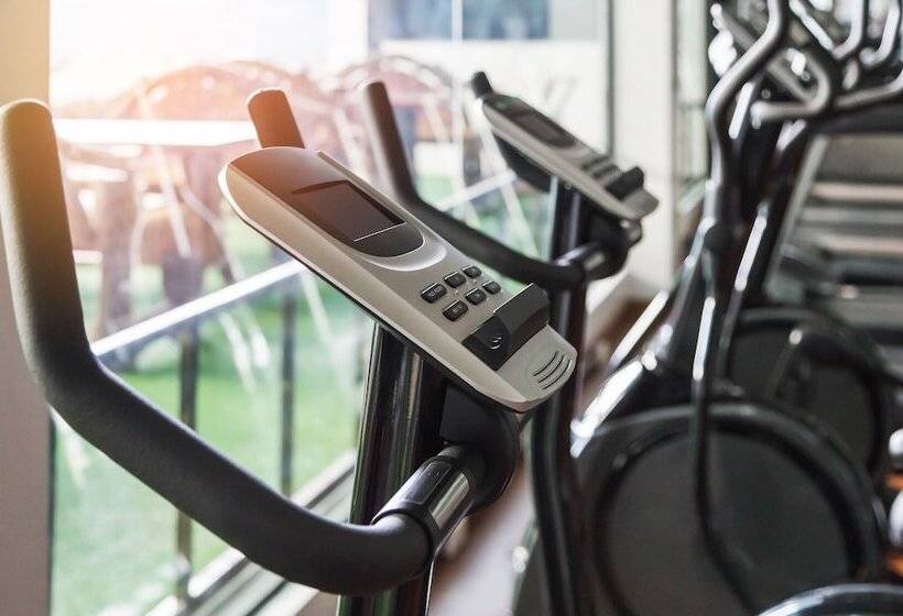 בית מלון כפרי The Croke Park