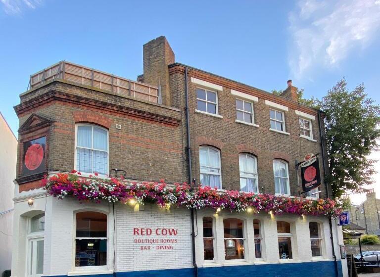 فندق The Red Cow   Guest House