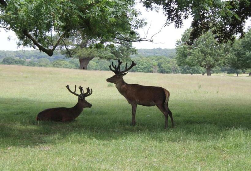 فندق Richmond Hill