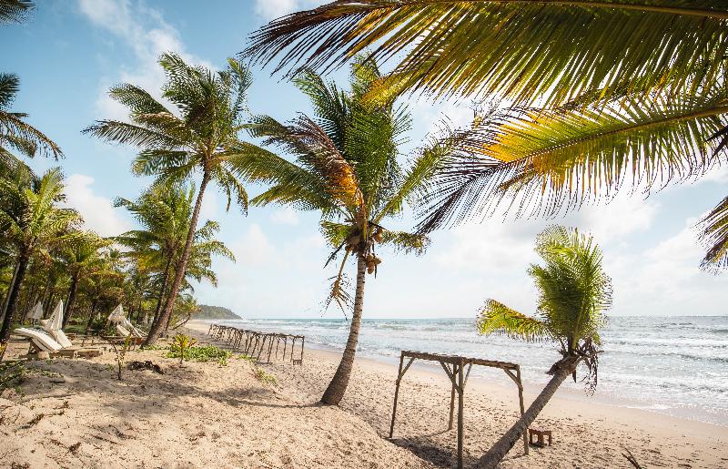 فندق Txai Resort