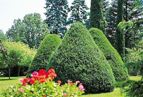 Manoir De La Roseraie Chateaux & Hotels De France