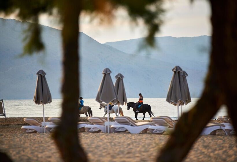 Mythos Palace Resort & Spa