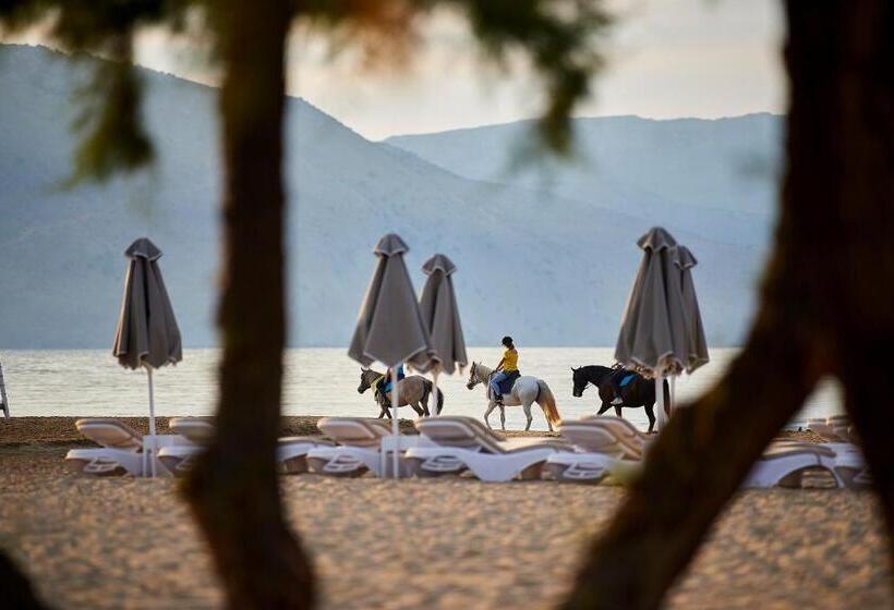 Mythos Palace Resort & Spa