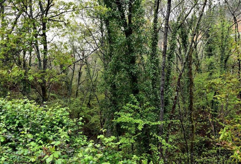 Quinta Do Crestelo Apart