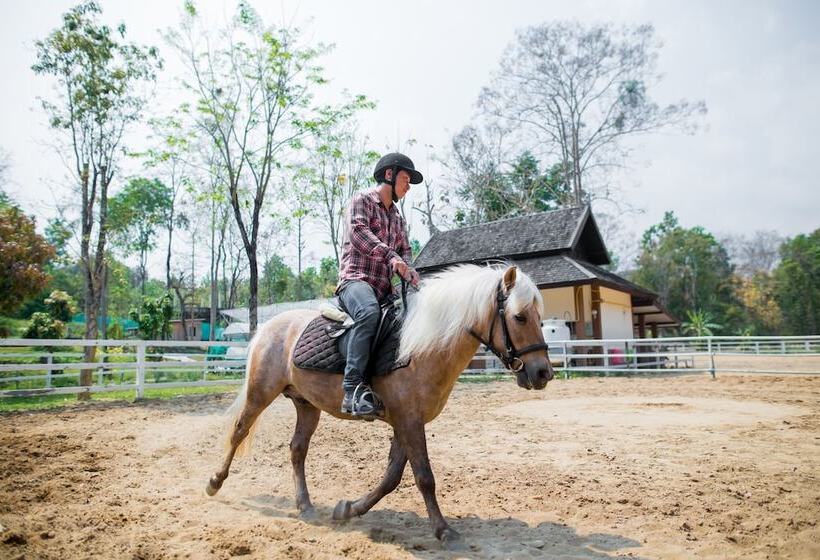 Курорт Jirung Health Village