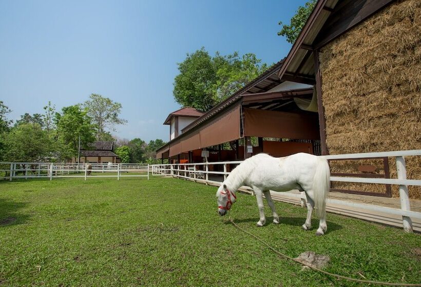 Курорт Jirung Health Village