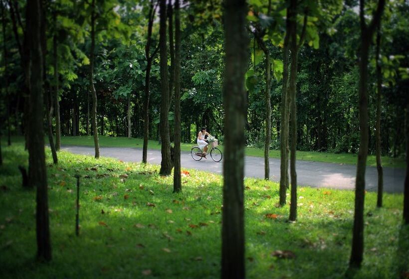 Курорт Jirung Health Village