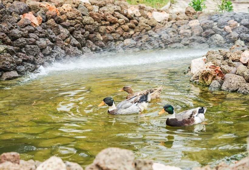 Riad Arabesque & Spa