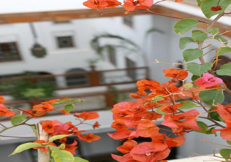 Riad Dar Al Andalous