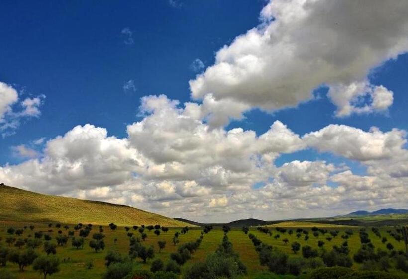 בית מלון כפרי Spa Villa Nazules