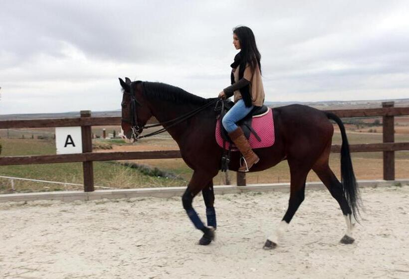 בית מלון כפרי Spa Villa Nazules