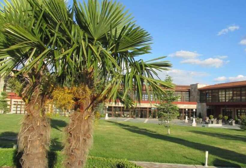 فندق Spa Villa Nazules