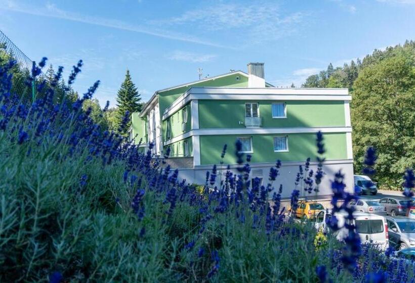 Wellness Hotel Green Paradise