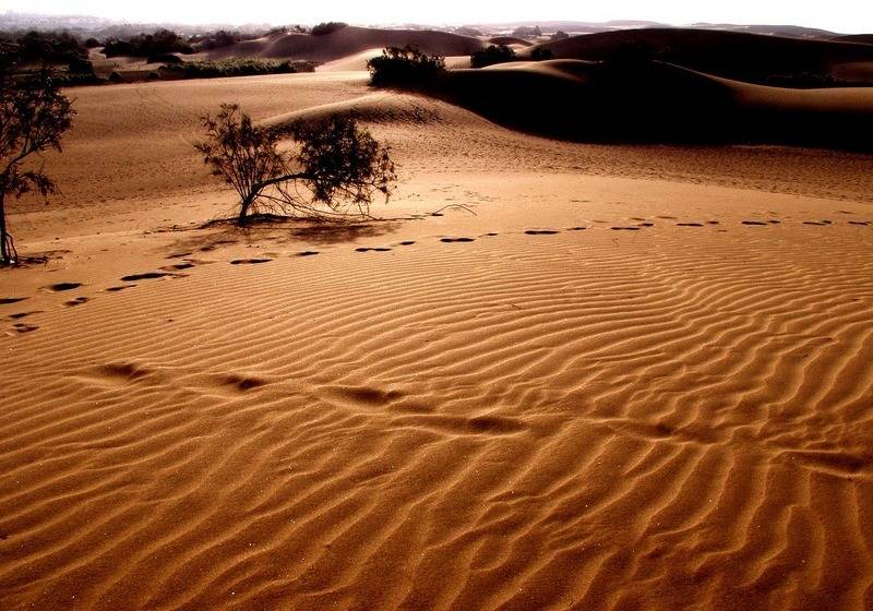 Apartamentos El Capricho