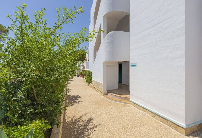 Apartamentos Los Arcos