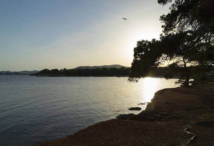 Apartamentos Los Arcos