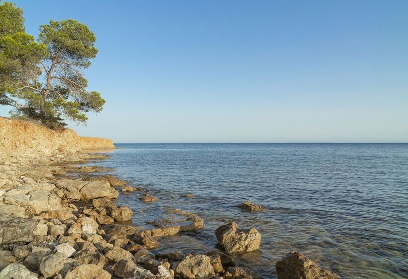 Apartamentos Los Arcos