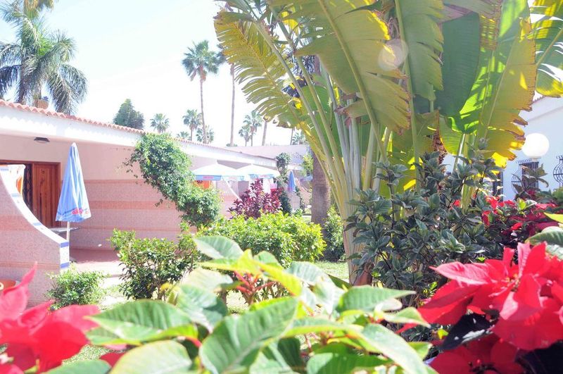 Bungalows San Valentín & Terraflor Park