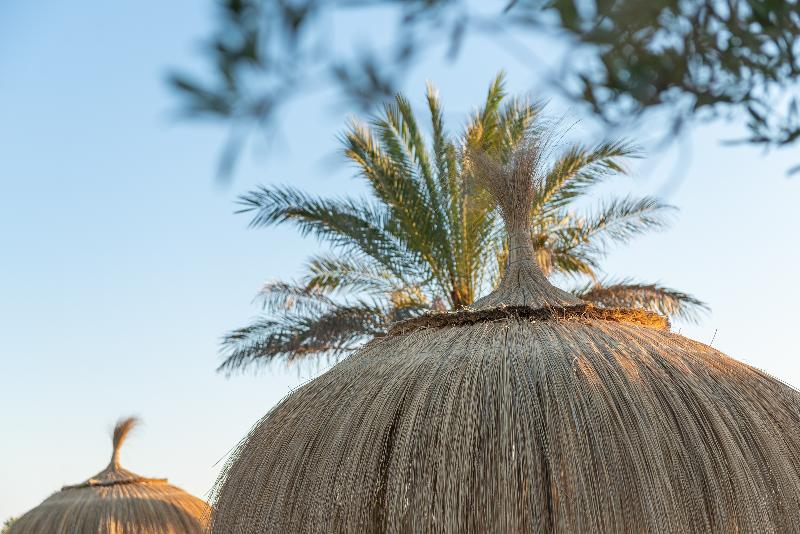 Finca Hotel Can Canals & Spa