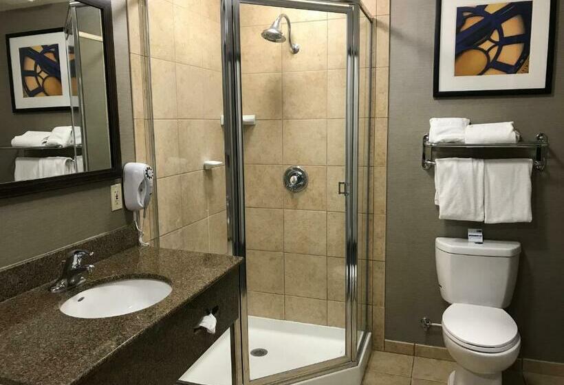 Holiday Inn Express Hotel & Suites Barstow Outlet Center By Ihg