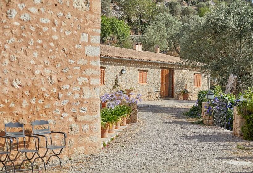 Отель Agroturismo Alqueria Blanca