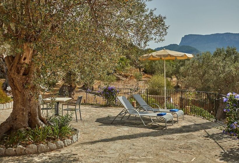 Отель Agroturismo Alqueria Blanca