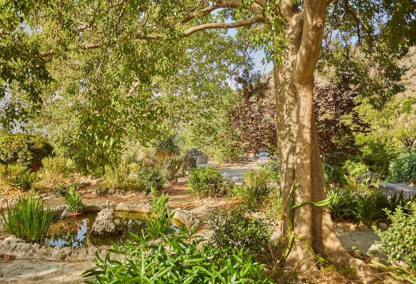 Отель Agroturismo Alqueria Blanca