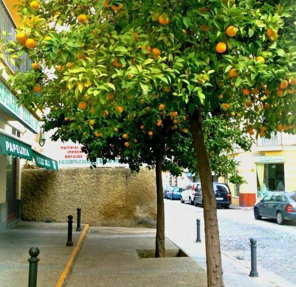 Hotel Al Andalus Jerez