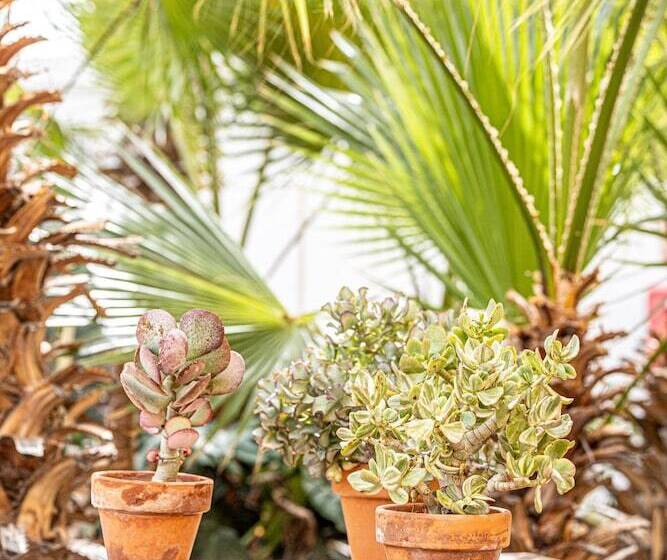 Отель Atlantic Holiday