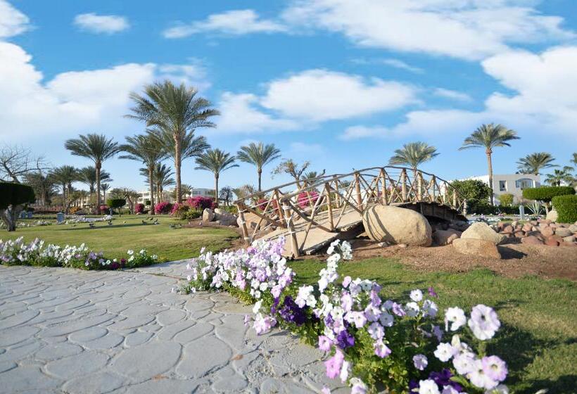 ホテル Aurora Oriental Resort Sharm El Sheikh