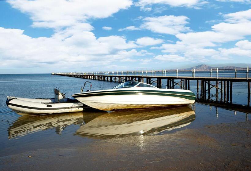 ホテル Aurora Oriental Resort Sharm El Sheikh