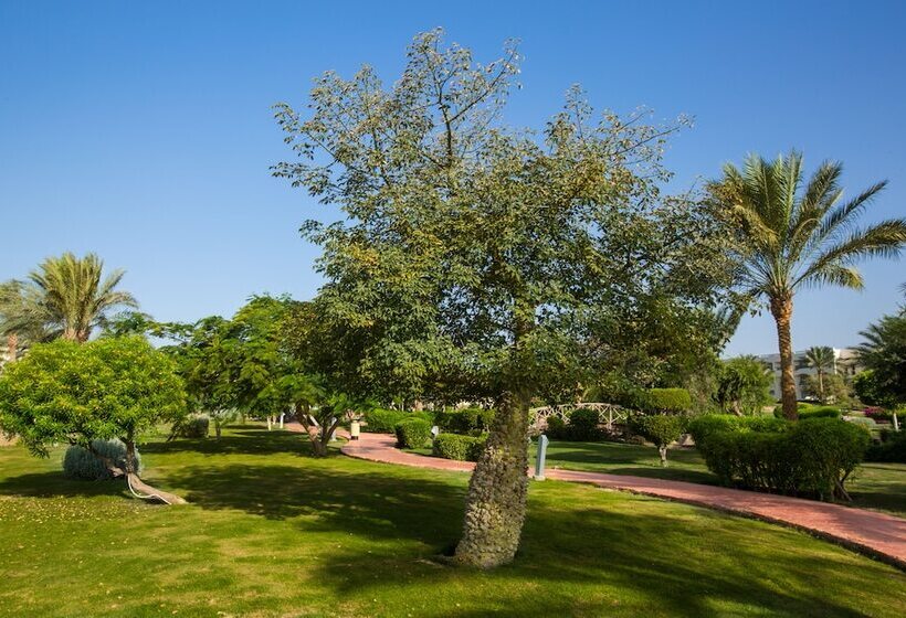 ホテル Aurora Oriental Resort Sharm El Sheikh