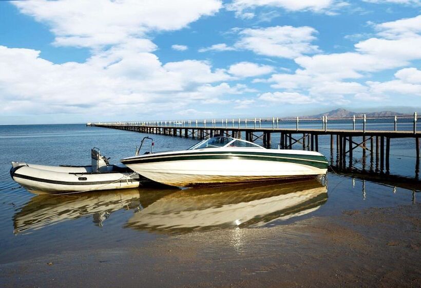 ホテル Aurora Oriental Resort Sharm El Sheikh