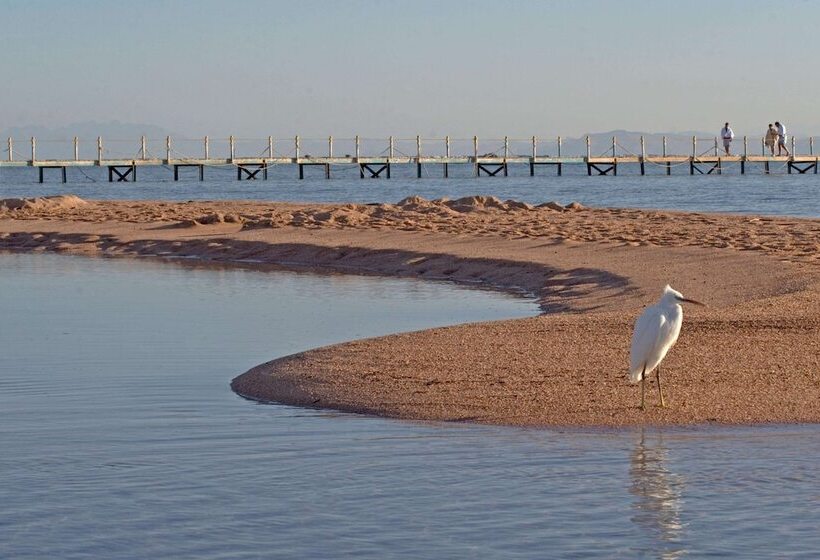 ホテル Aurora Oriental Resort Sharm El Sheikh
