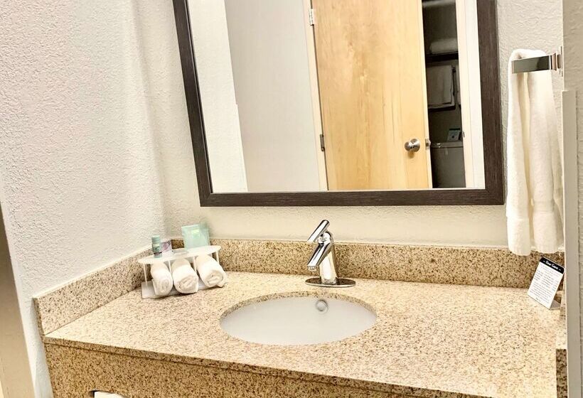 فندق Best Western Oswego