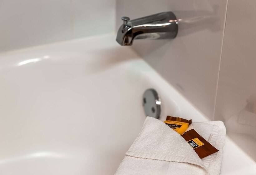 Best Western Plus Bradenton Hotel & Suites