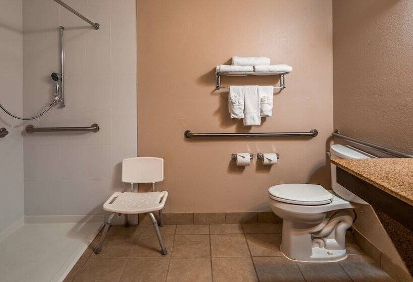 Best Western Plus Bradenton Hotel & Suites