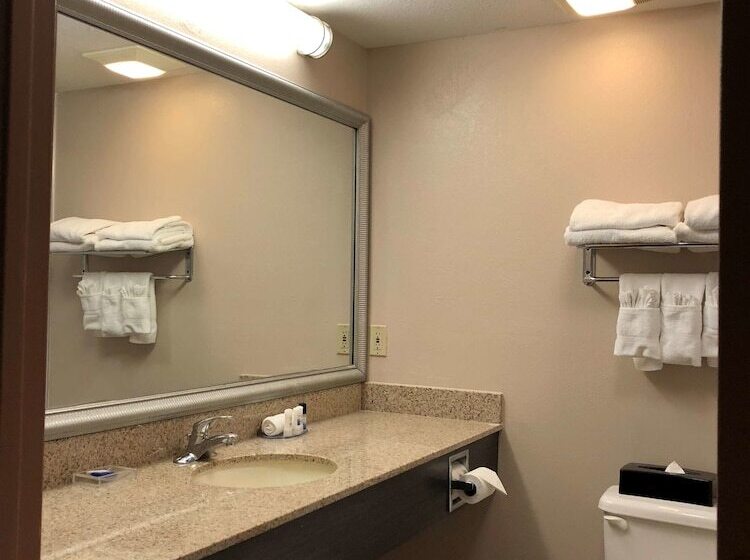 Best Western Plus Bradenton Hotel & Suites