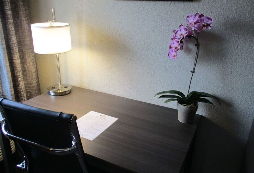 酒店 Best Western Plus North Joliet