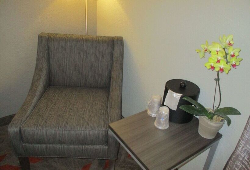 酒店 Best Western Plus North Joliet