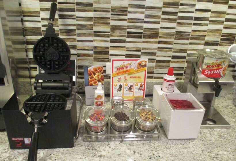 酒店 Best Western Plus North Joliet