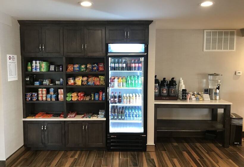 酒店 Best Western Plus North Joliet