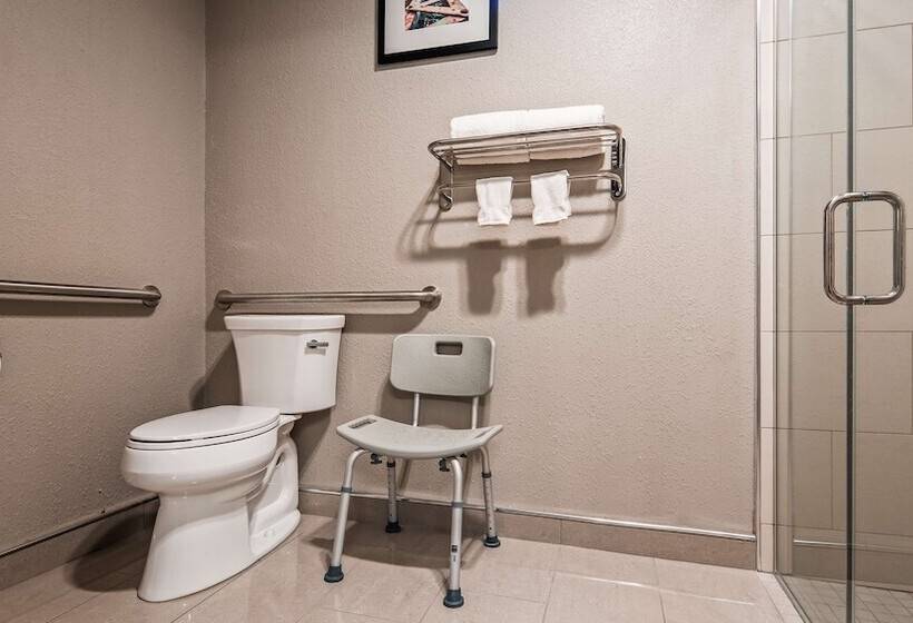 酒店 Best Western Plus North Joliet