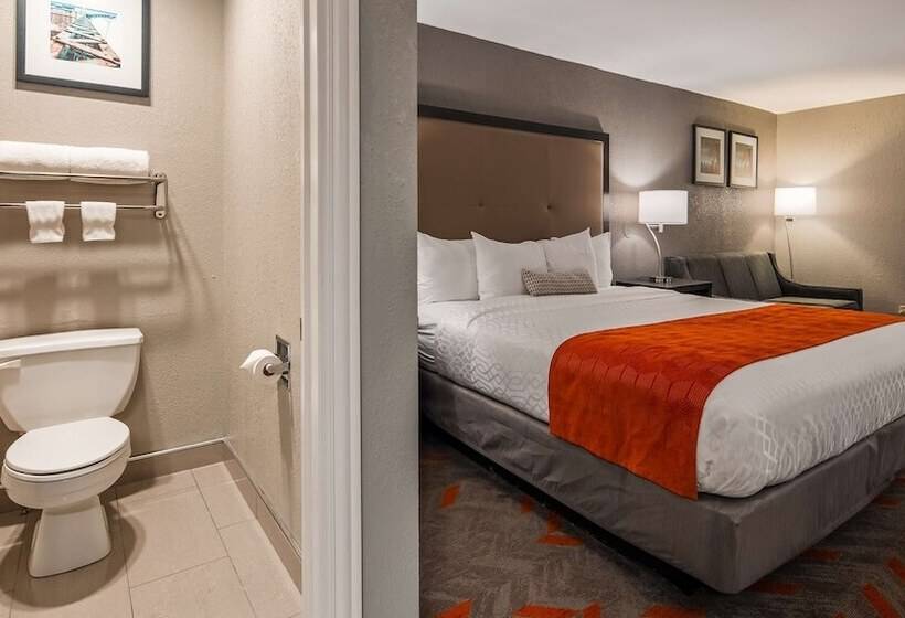 酒店 Best Western Plus North Joliet