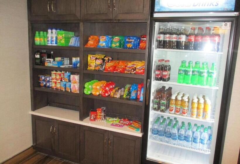 酒店 Best Western Plus North Joliet