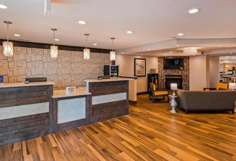 酒店 Best Western Plus North Joliet