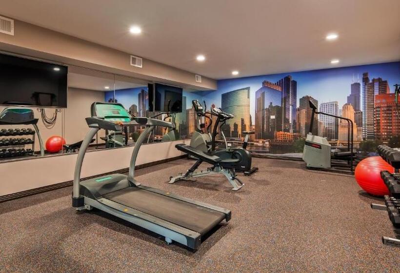 酒店 Best Western Plus North Joliet